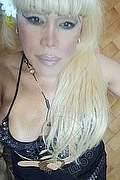 Milano Trans Nicole Vip Venturiny 353 3538868 foto selfie 96