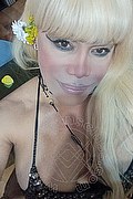 Milano Trans Nicole Vip Venturiny 353 3538868 foto selfie 75