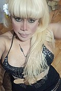 Milano Trans Nicole Vip Venturiny 353 3538868 foto selfie 70