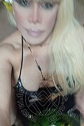 Bergamo Trans Nicole Vip Venturiny 353 3538868 foto selfie 31