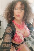 Livorno Trans Alessia Sexy 327 7787643 foto selfie 14