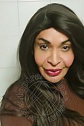 Prato Trans Taina Oliveira 328 5382487 foto selfie 1