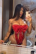 Brescia Trans Milena Miranda 388 6310811 foto selfie 2