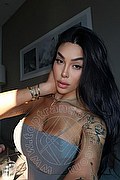 Grosseto Trans Sara Luna 334 2293953 foto selfie 14