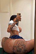 Grosseto Trans Sara Luna 334 2293953 foto selfie 8