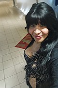 Prato Trans Taina Oliveira 328 5382487 foto selfie 20
