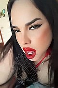 Fossano - Cuneo Trans Cristina 350 9181926 foto selfie 8