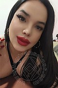 Fossano - Cuneo Trans Cristina 350 9181926 foto selfie 4