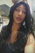 Rimini Trans Roberta Hot 389 1991636 foto selfie 2