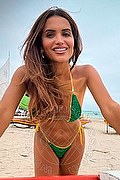 Gallarate Trans Fabricia Larraine 353 3162276 foto selfie 3