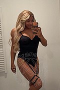 Roma Trans Adriana 392 7624016 foto selfie 9