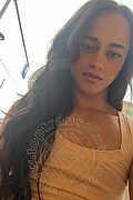 Bologna Trans Victoria New 339 4337857 foto selfie 23
