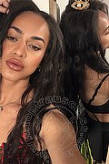 Bologna Trans Victoria New 339 4337857 foto selfie 12