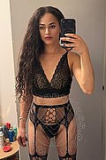 Bologna Trans Victoria New 339 4337857 foto selfie 7