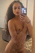 Bologna Trans Victoria New 339 4337857 foto selfie 4