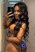 Verona - Trento - Bolzano Trans Donna Bella 350 8585567 foto selfie 1