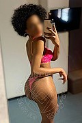 Roma Trans Miele 331 7808280 foto selfie 26