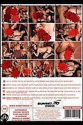 Montemarciano Trans Drielly Riuston Pornostar 329 3405776 foto sexystar 6